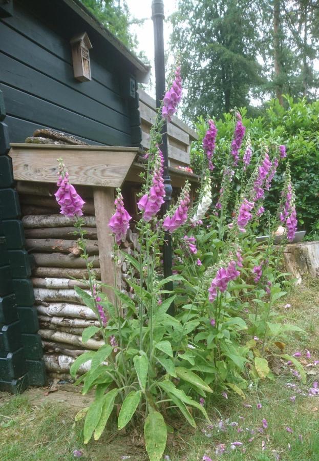 Woudhof Laag-Soeren Exterior foto