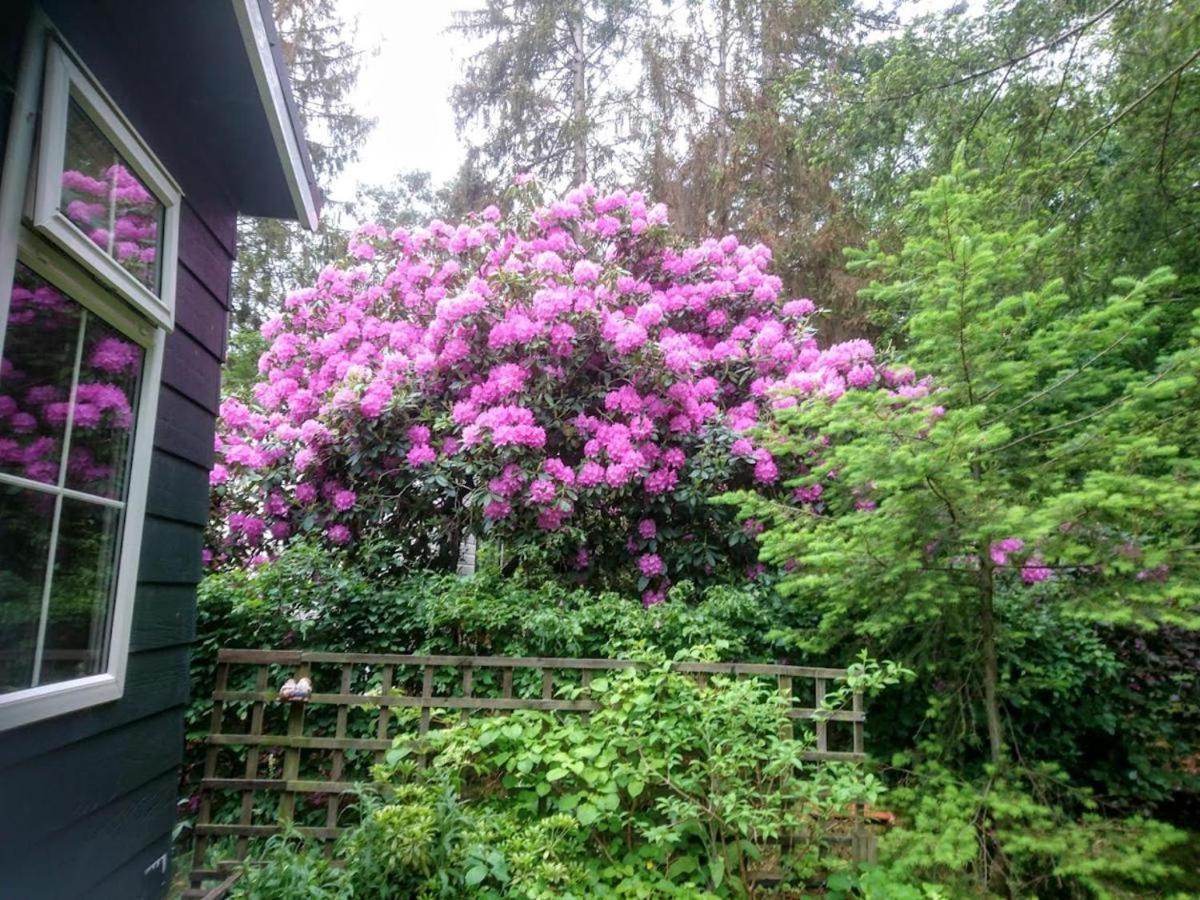 Woudhof Laag-Soeren Exterior foto